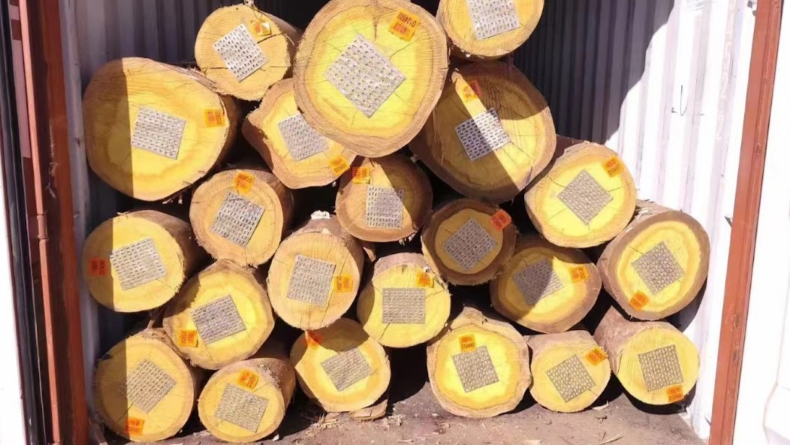 Forest products exports being loaded in a container