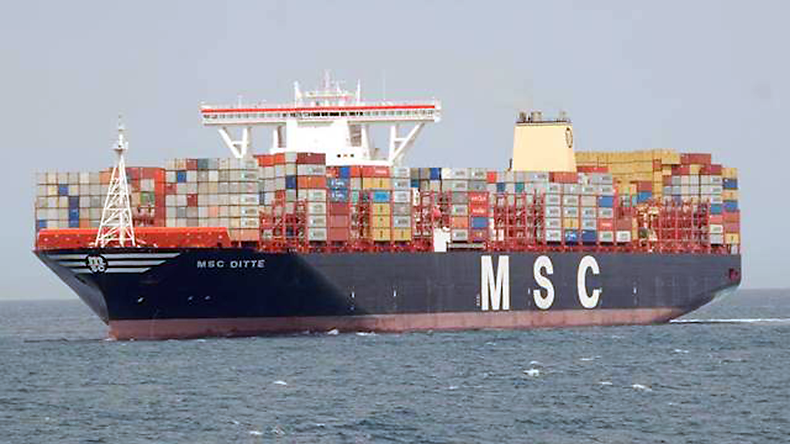 Containership MSC Ditte at sea