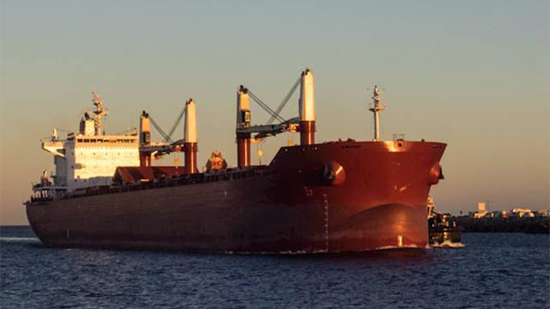 Dry bulker Maria at sea
