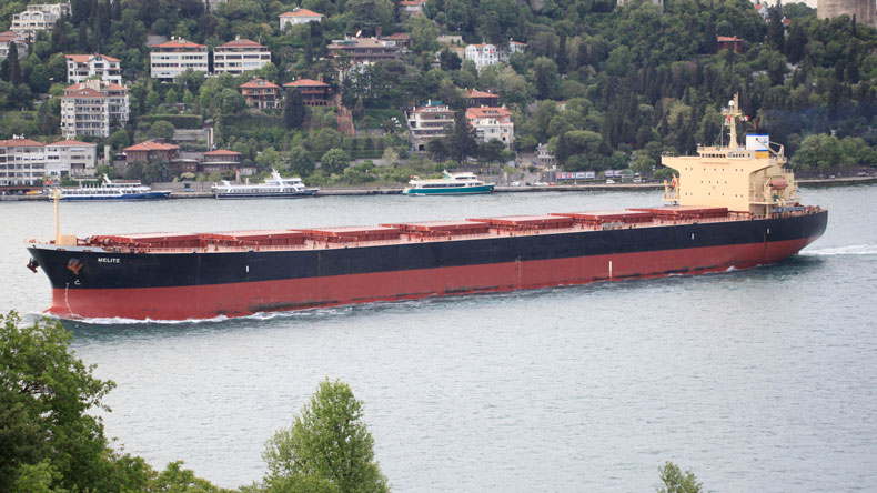 Diana Shipping vessel Melite