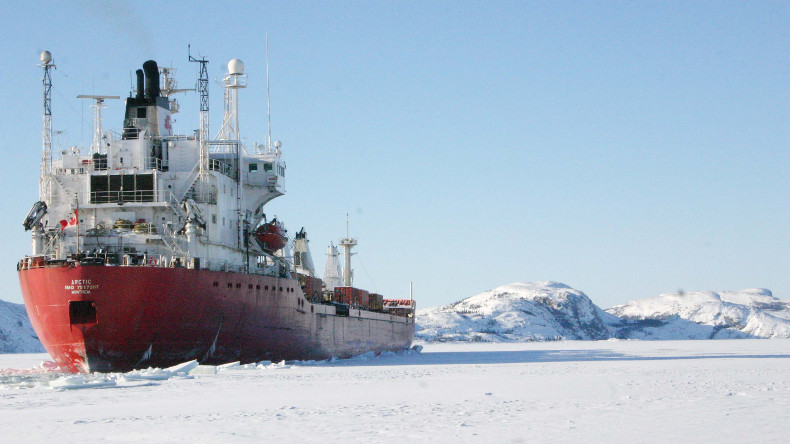 Combined bulk and oil carrier Arctic