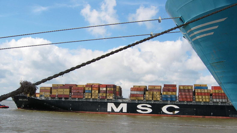 MSC Luisa and Maersk ship at port