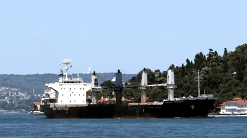 Dry bulker Mikhail_Nenashev at Bosporus Strait